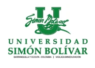 Cliente 7